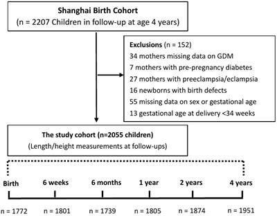 Gestational diabetes mellitus and linear growth in early childhood